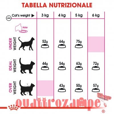 Royal Canin Exigent Aroma Secco Gatto