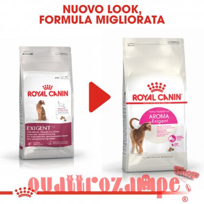 Royal Canin Exigent Aroma Secco Gatto