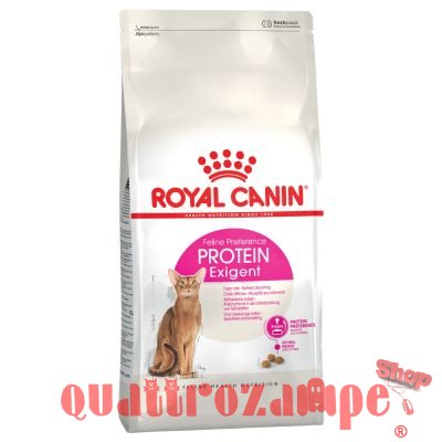 Royal Canin Exigent Protein Secco Gatto