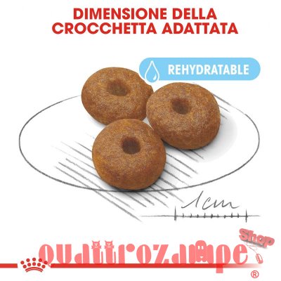 Royal Canin Maxi Starter Mother & Babydog Per Cane