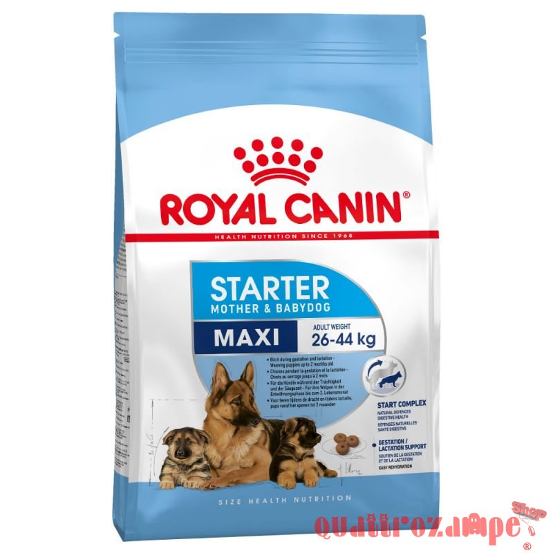 Royal Canin Maxi Starter Mother & Babydog Per Cane