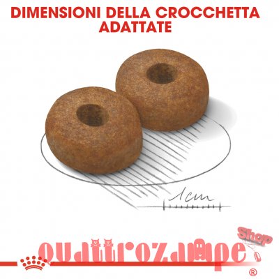 Royal Canin Maxi Ageing 8 + CIbo Secco Per Cani
