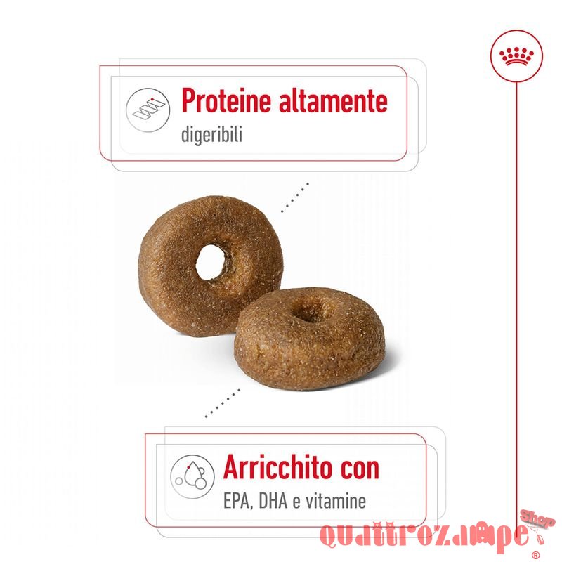 Royal Canin Maxi Ageing 8 + CIbo Secco Per Cani