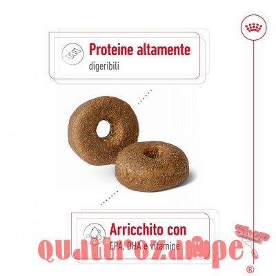 Royal Canin Maxi Ageing 8 + CIbo Secco Per Cani
