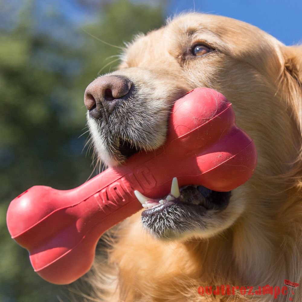 Kong Gioco Goodie Bone Osso Resistente