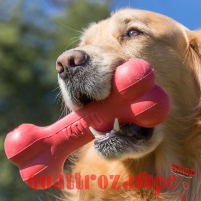 Kong Gioco Goodie Bone Osso Resistente
