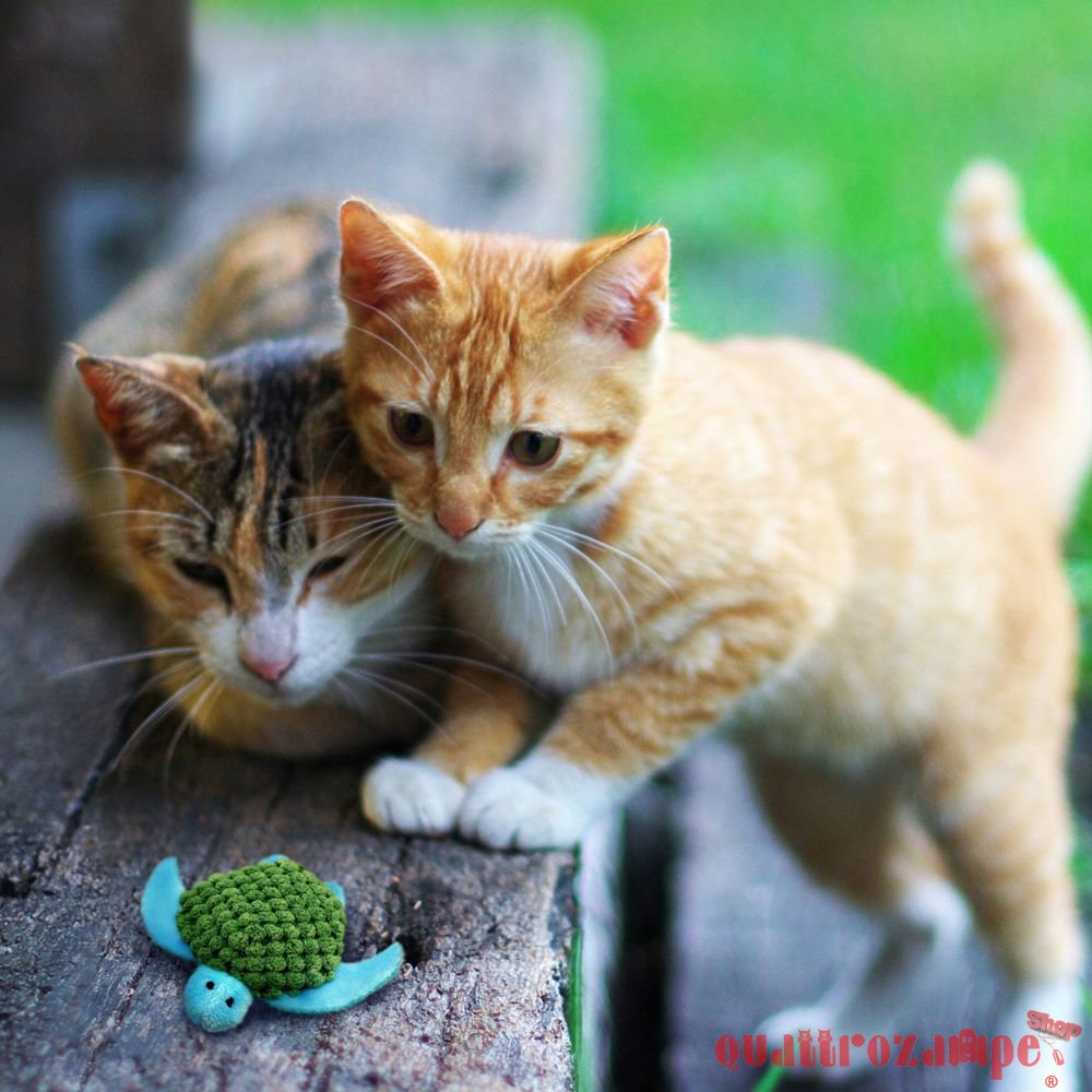 Kong Cat Refillables Turtle Gioco Per Gatti 10 cm Con Erba Gatta