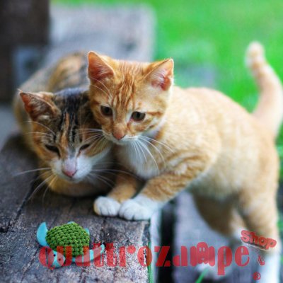 Kong Cat Refillables Turtle Gioco Per Gatti 10 cm Con Erba Gatta