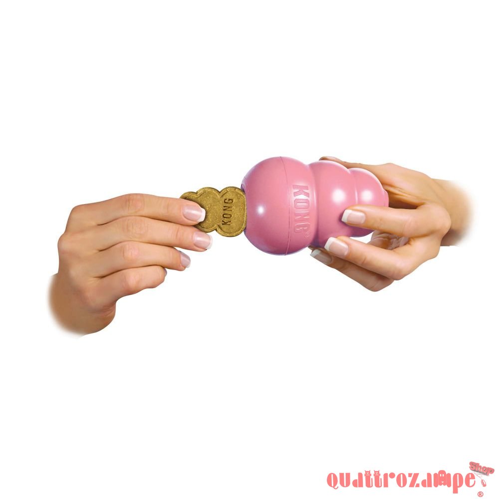 Kong Snack Dog Puppy Small 198 gr Per Cane