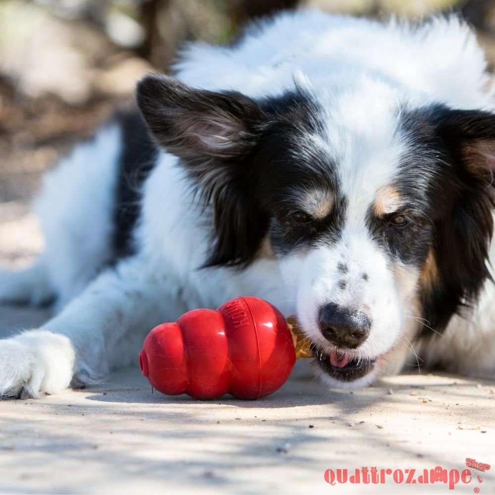 Kong Snack Dog Adult Bacon E Formaggio Per Cane
