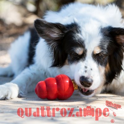 Kong Snack Dog Adult Bacon E Formaggio Per Cane