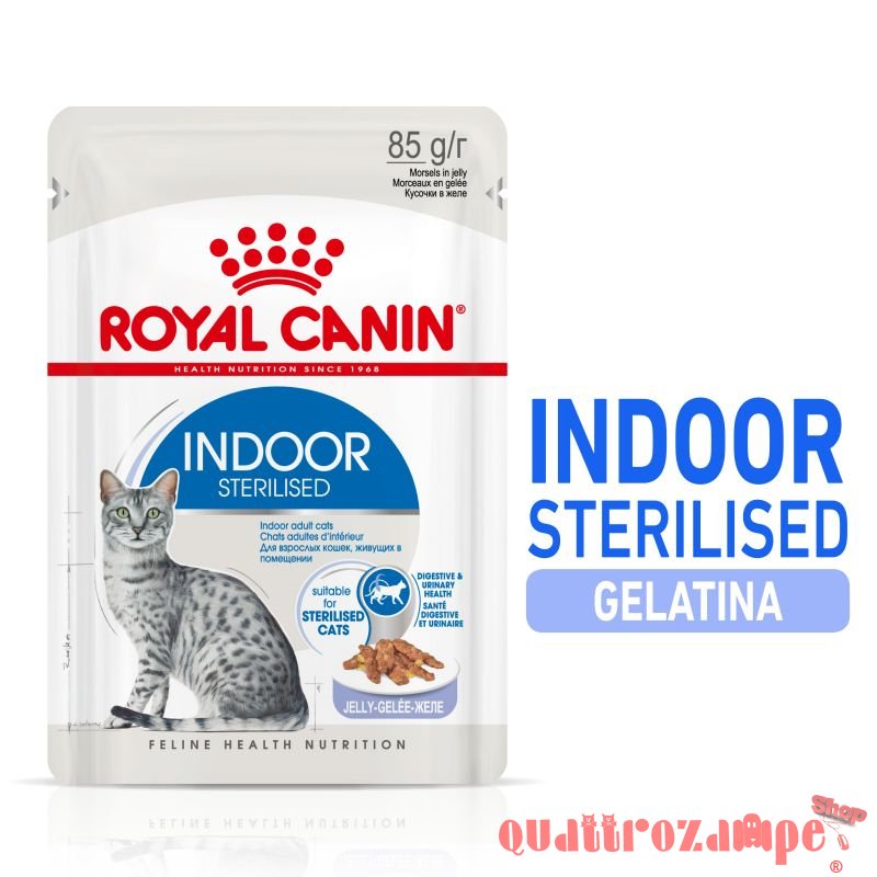 Royal Canin Indoor Sterilised Jelly 85 gr In Gelatina Per Gatti
