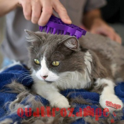 Kong Cat Zoom Groom Spazzola 11,5 cm Per Gatti