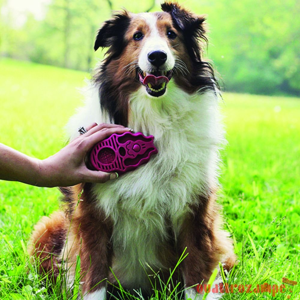 Kong Dog Zoom Groom Spazzola Rosa 12 cm Per Cani