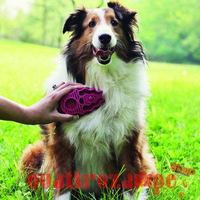 Kong Dog Zoom Groom Spazzola Rosa 12 cm Per Cani