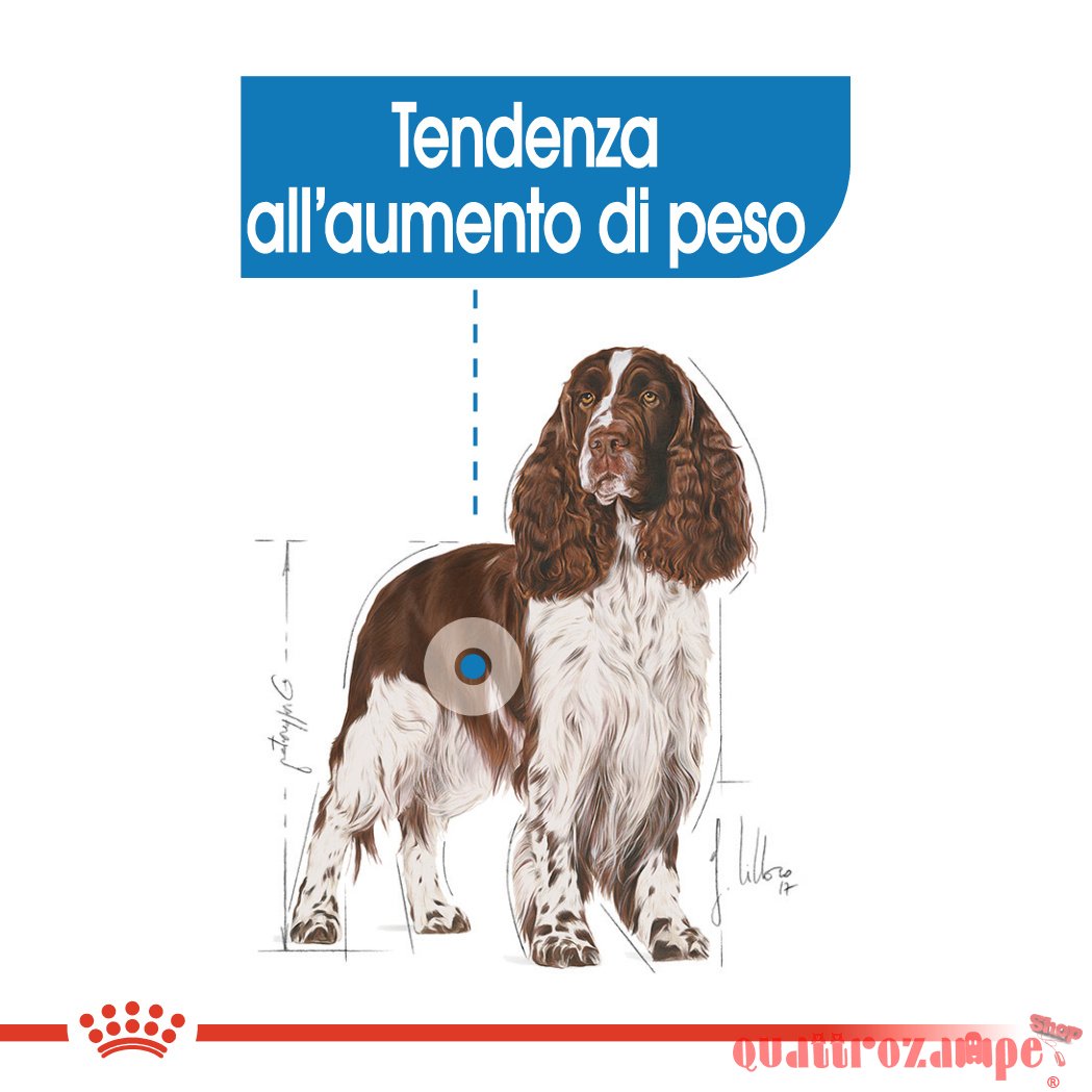 Royal Canin Medium Light Weight Care 12 kg Per Cane