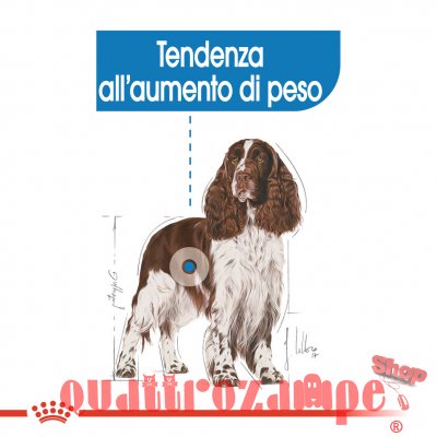Royal Canin Medium Light Weight Care 12 kg Per Cane
