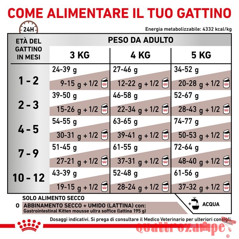 Royal Canin Gastro Intestinal Kitten 195 gr Umido Gatto