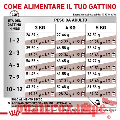 Royal Canin Gastro Intestinal Kitten 195 gr Umido Gatto