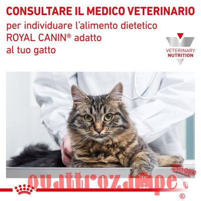Royal Canin Gastro Intestinal Kitten 195 gr Umido Gatto