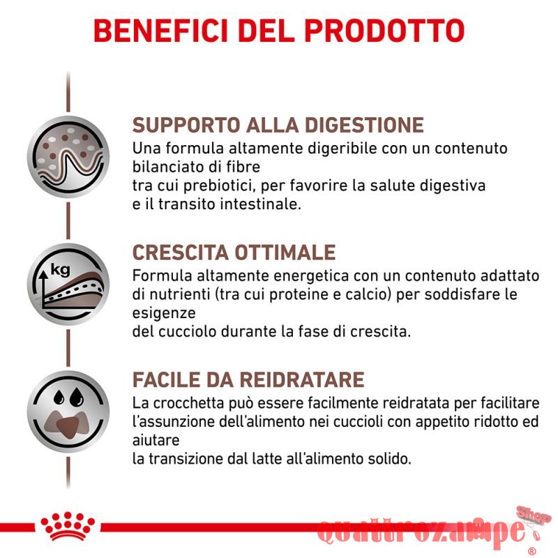 Royal Canin Gastro Intestinal Puppy 195 gr Umido Cane