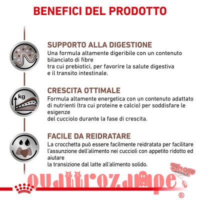 Royal Canin Gastro Intestinal Puppy 195 gr Umido Cane