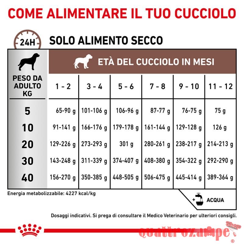 Royal Canin Gastro Intestinal Puppy 195 gr Umido Cane