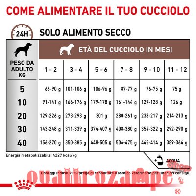 Royal Canin Gastro Intestinal Puppy 195 gr Umido Cane