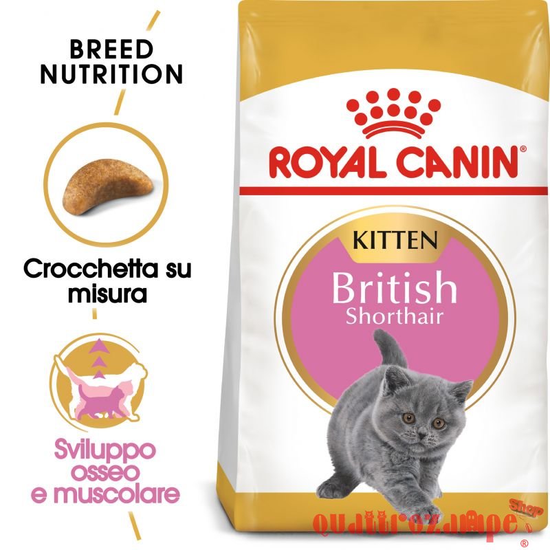 Royal Canin British Shorthair Kitten 2 kg
