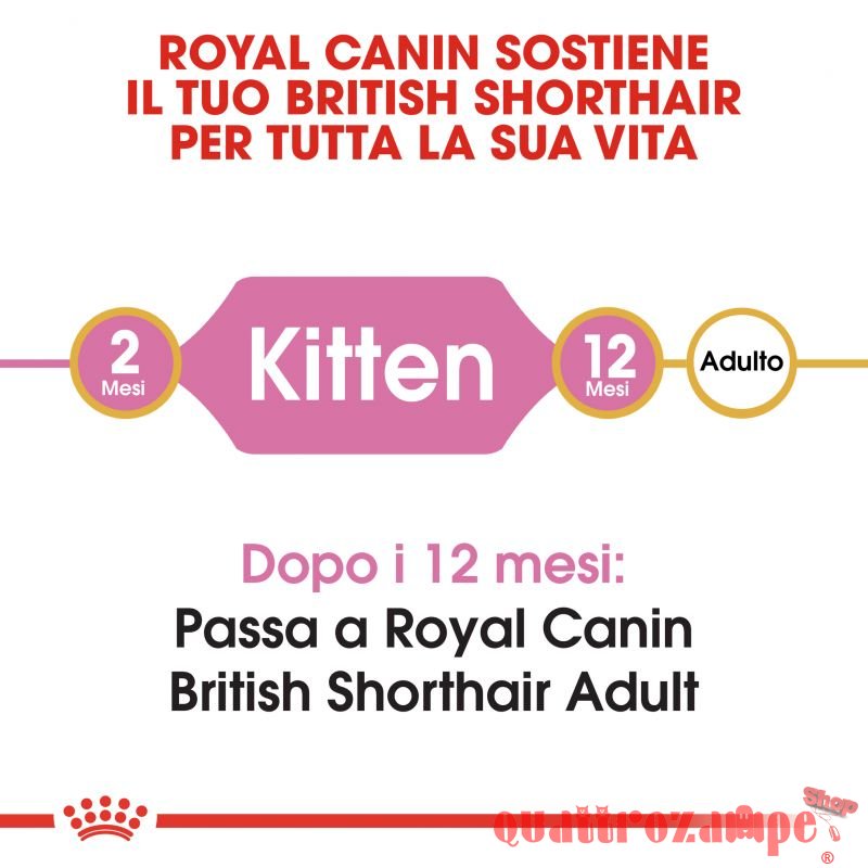 Royal Canin British Shorthair Kitten 2 kg