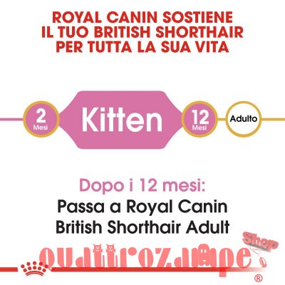 Royal Canin British Shorthair Kitten 2 kg