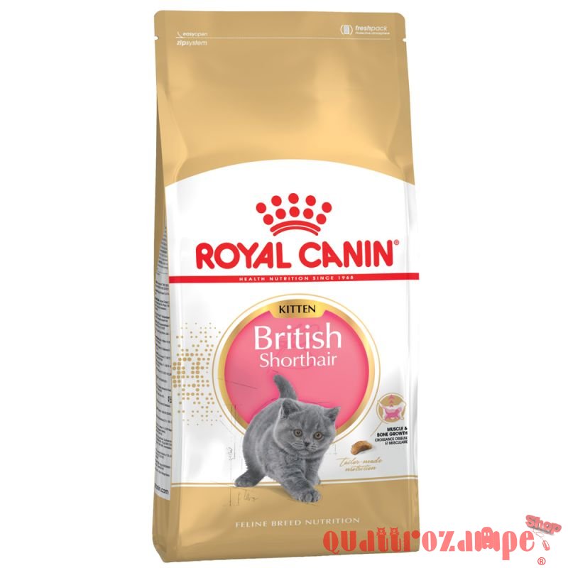 Royal Canin British Shorthair Kitten 2 kg
