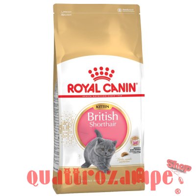 Royal Canin British Shorthair Kitten 2 kg