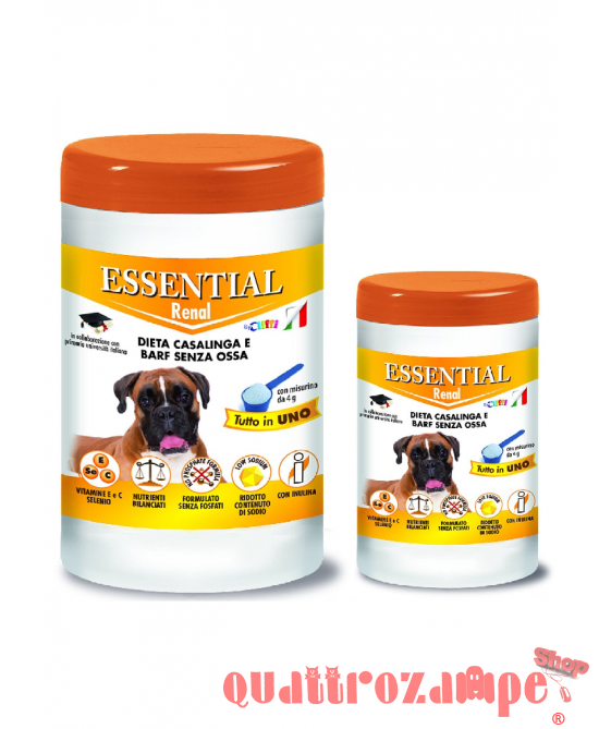 Cliffi Essential Renal Cane Adult