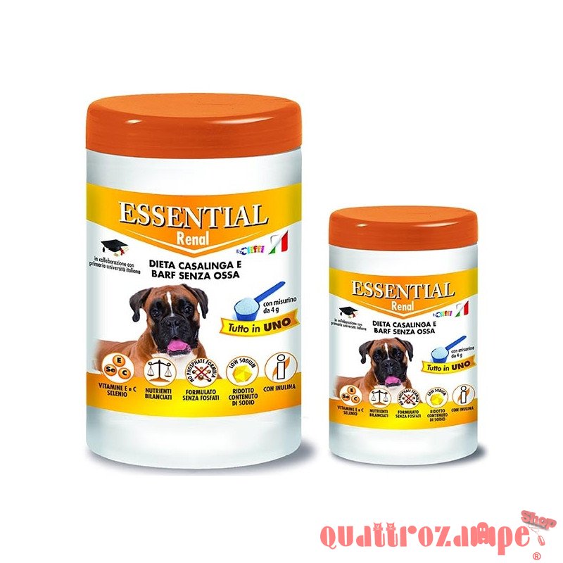 Cliffi Essential Renal Cane Adult