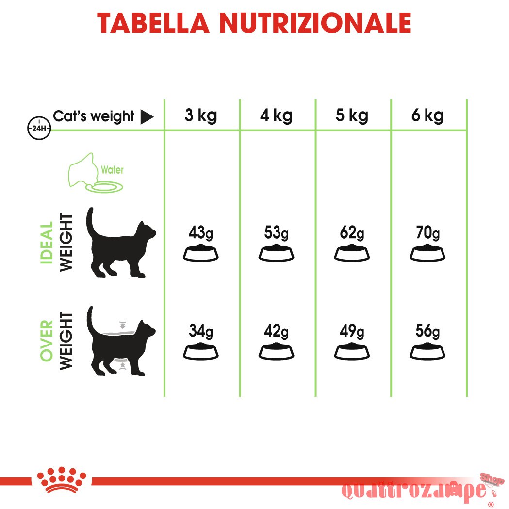 Royal Canin Digestive Care Gatto