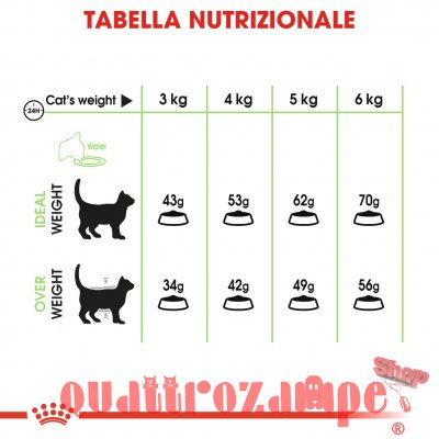 Royal Canin Digestive Care Gatto