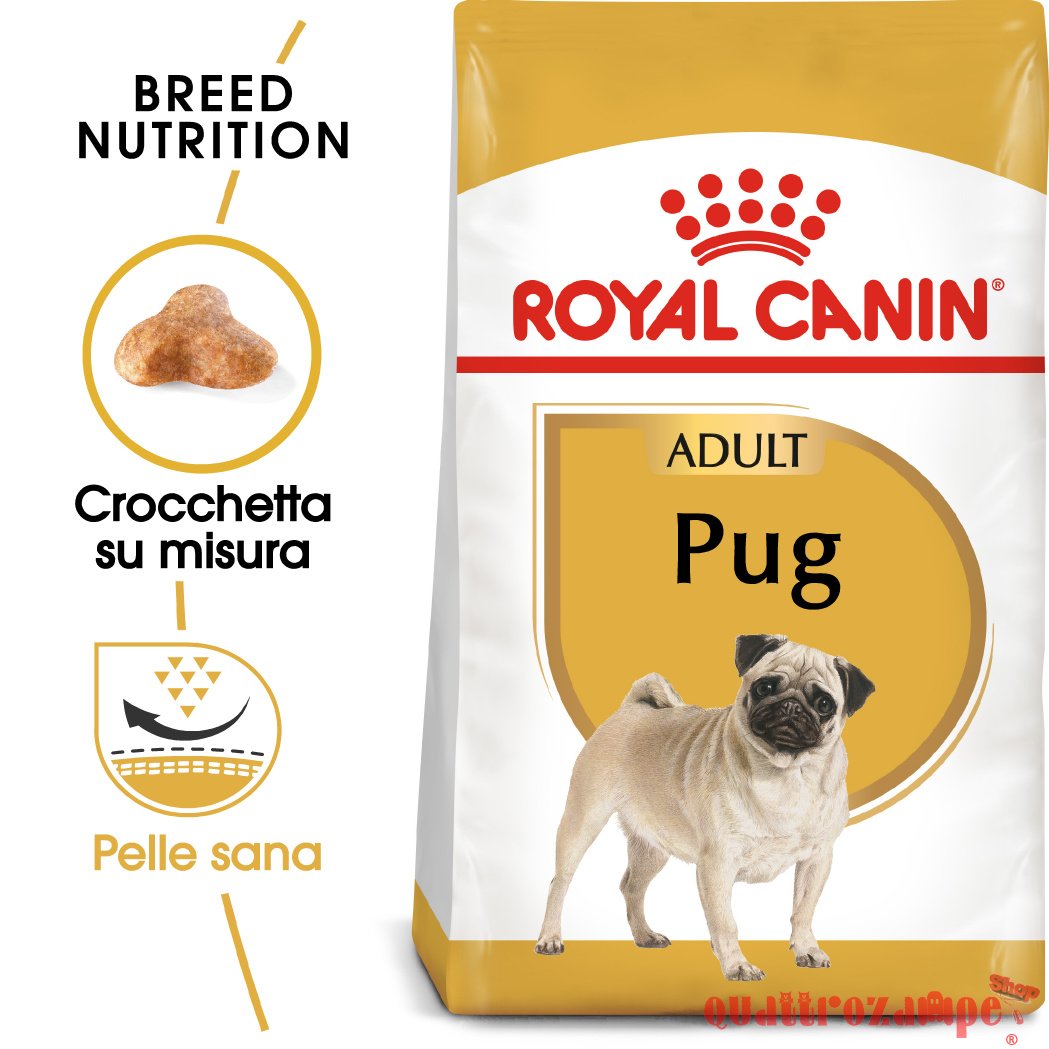 Royal Canin Pug Carlino Adult per Cani