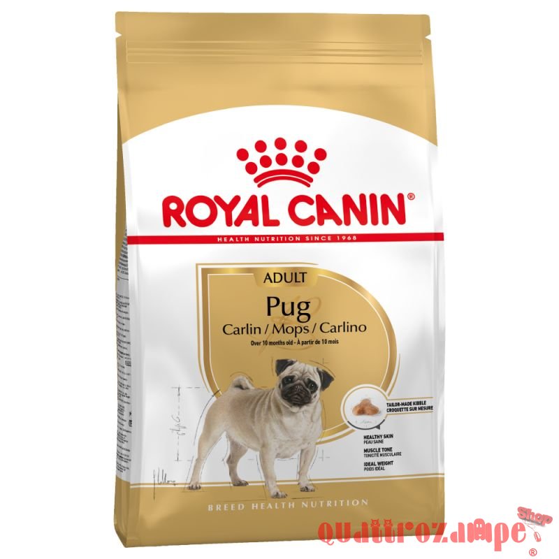 Royal Canin Pug Carlino Adult per Cani