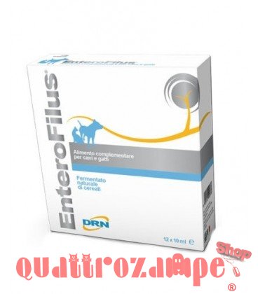 DRN Enterofilus 12 Fiale 10 ml Per Cani e Gatti