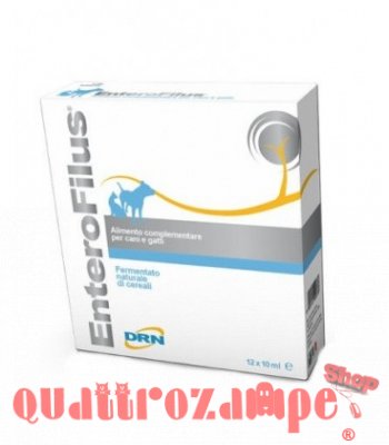 DRN Enterofilus 12 Fiale 10 ml Per Cani e Gatti