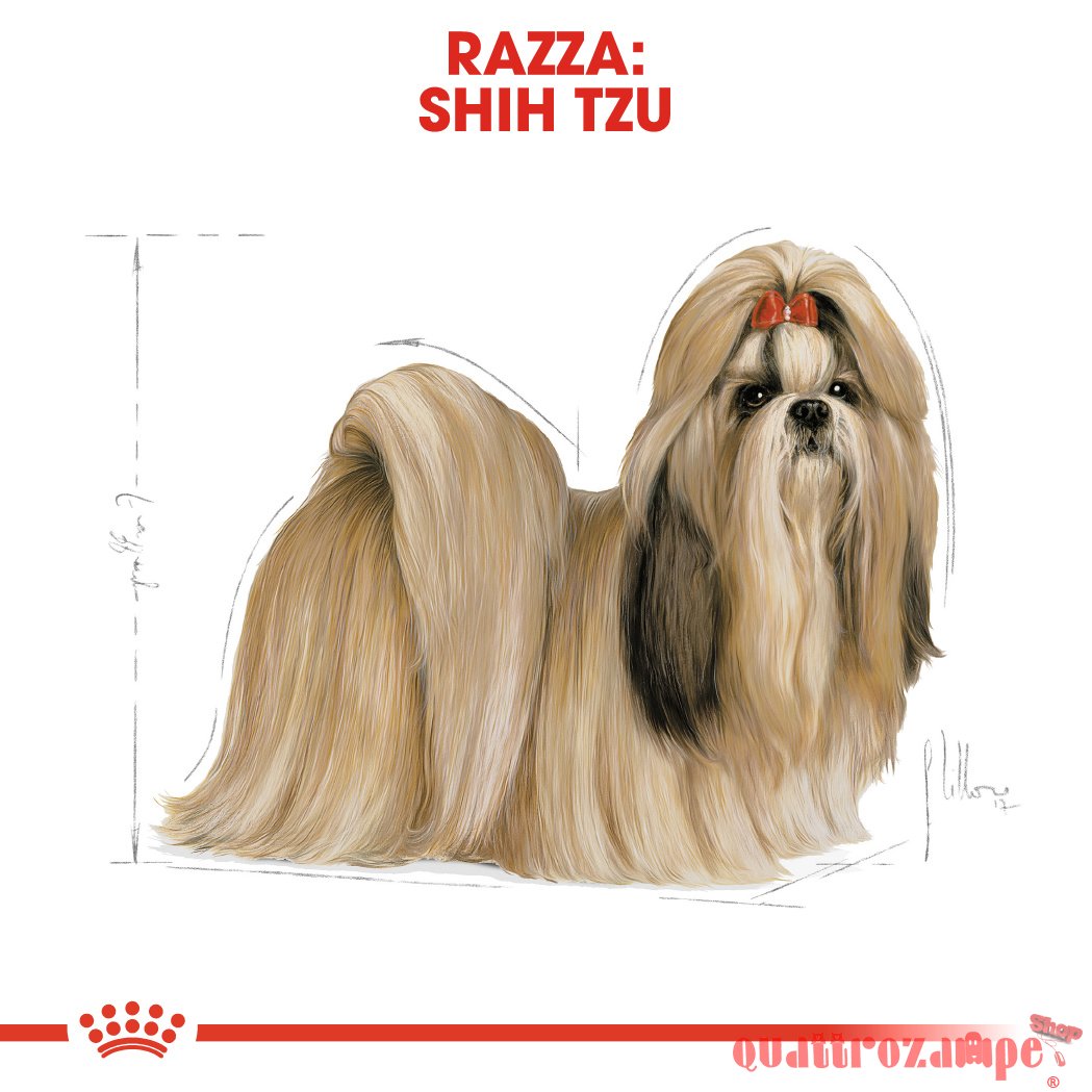 Royal Canin Shih Tzu Adult 1,5 kg