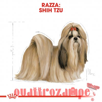 Royal Canin Shih Tzu Adult 1,5 kg