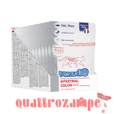 Forza 10 Active Intestinal Colon 100 Gr Bustina Umido Gatto