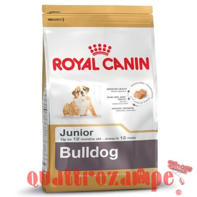 Royal Canin Bulldog Inglese Puppy