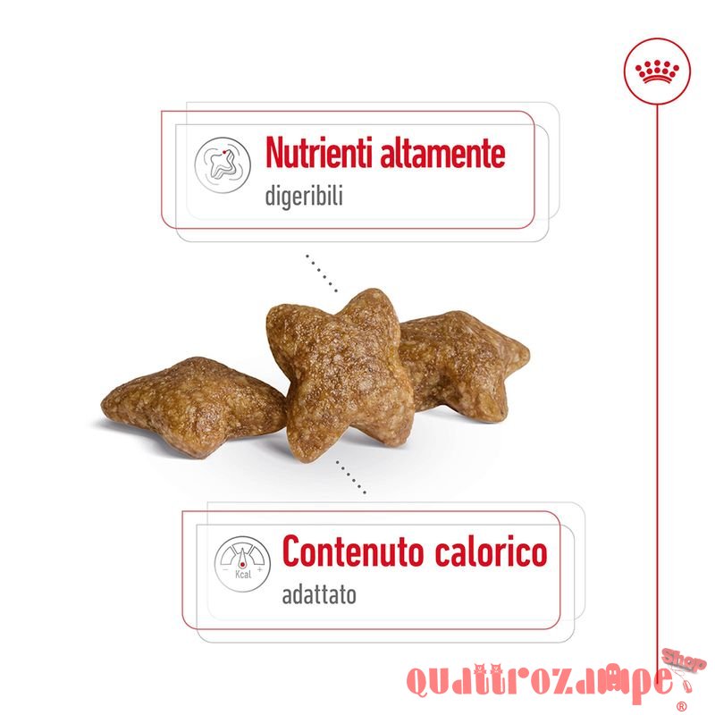 Royal Canin Mini Adult 8+ per Cani