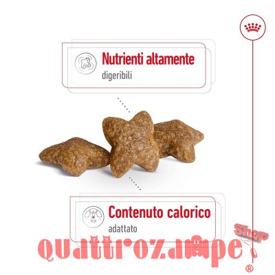 Royal Canin Mini Adult 8+ per Cani