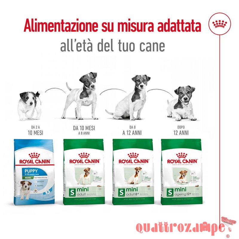 Royal Canin Mini Adult 8+ per Cani