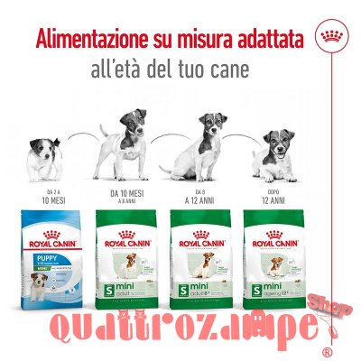 Royal Canin Mini Adult 8+ per Cani