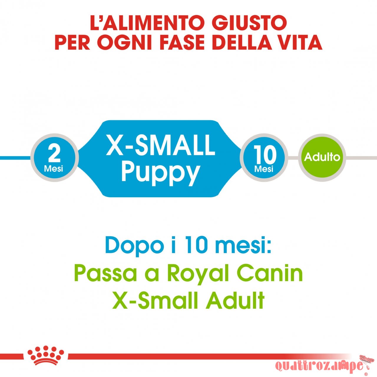 Royal Canin X Small Puppy per Cani Cuccioli